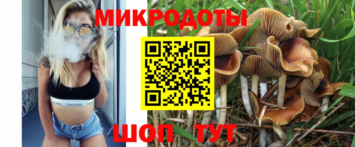 Псилоцибиновые грибы мицелий Видное