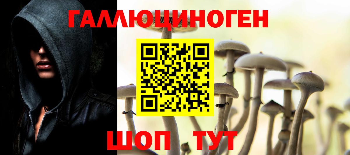 Псилоцибиновые грибы Psilocybine cubensis  Вход с VPN  Видное 